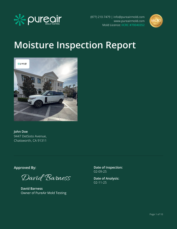 report